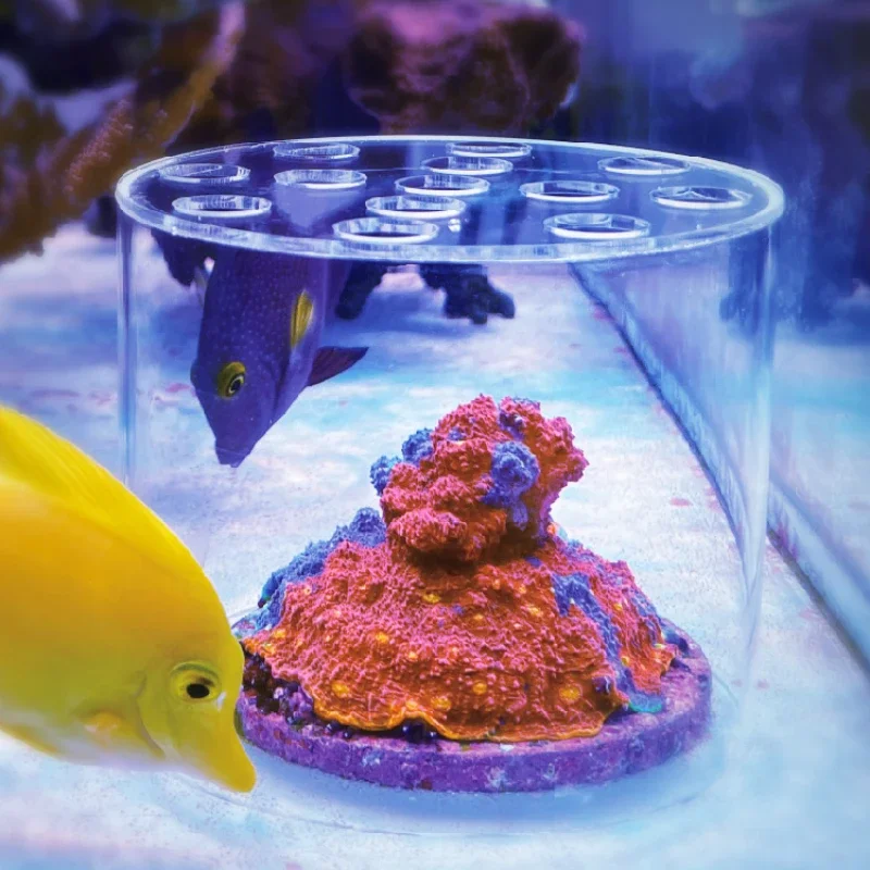 Vastocean Aquarium Arcylic Cor - Seaweed Snack ulasan dan harga