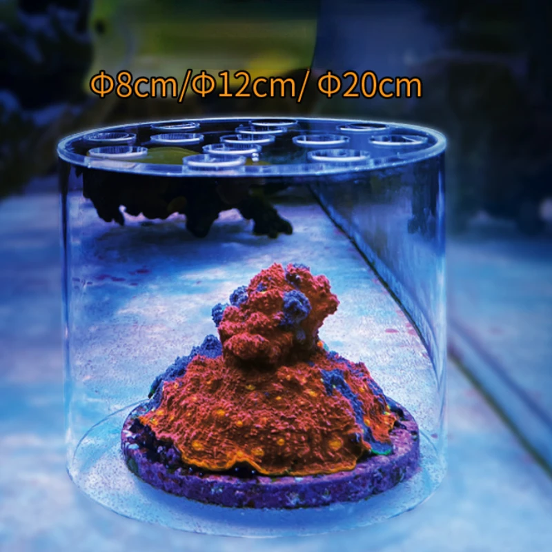 Vastocean Aquarium Arcylic Cor - Seaweed Snack ulasan dan harga