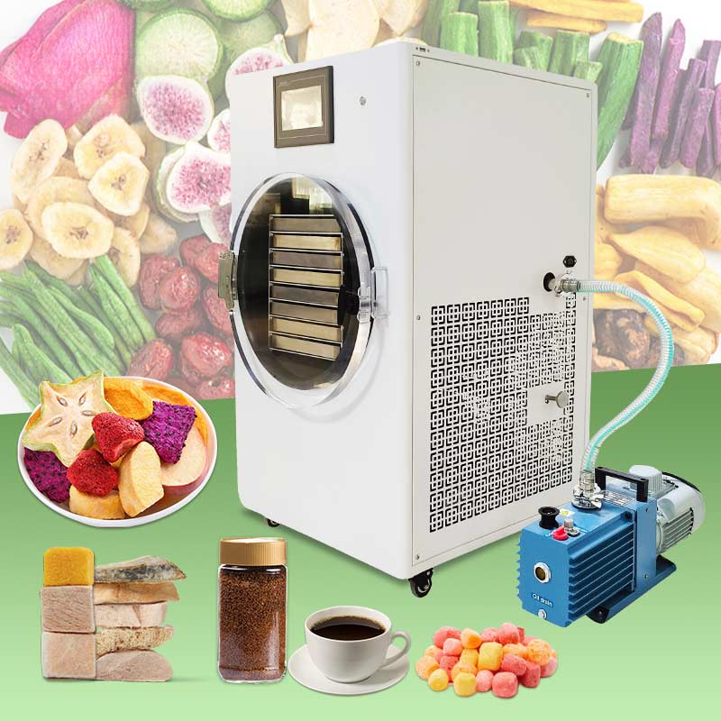 Small Freeze Mini Liofilizador - Dried Fruit ulasan dan harga
