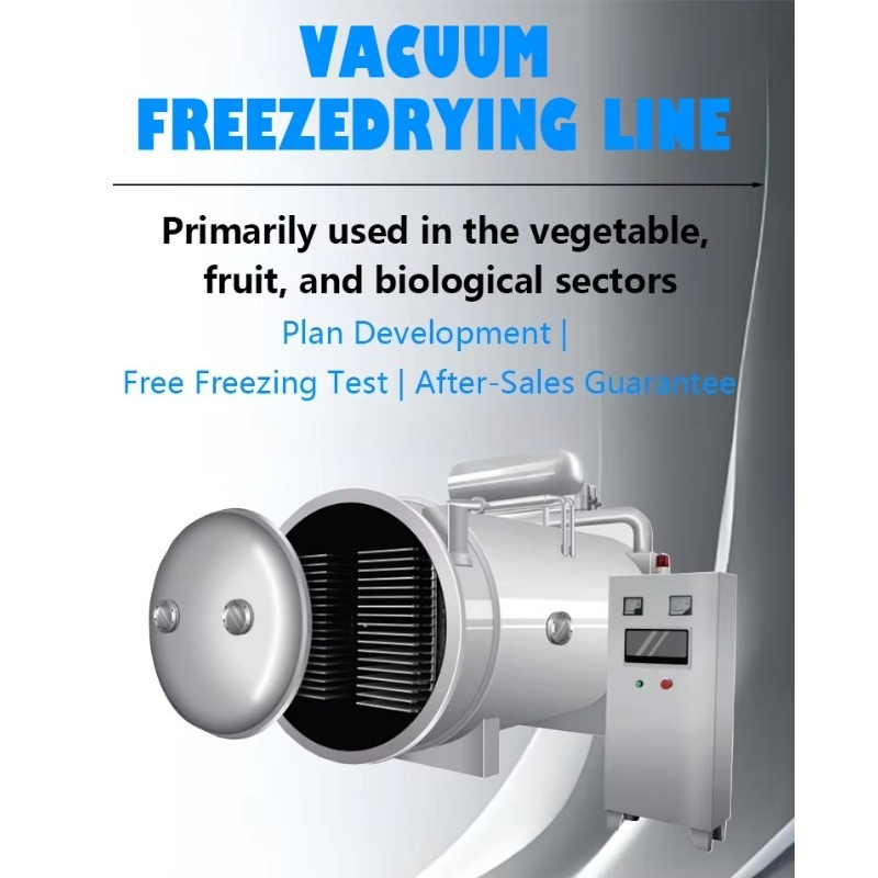 Frozen Vegetable and Dried Fru - Dried Fruit ulasan dan harga
